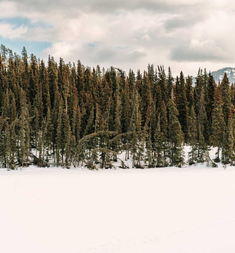 Amite-Yoga—BackgroundSM snow and mountains background